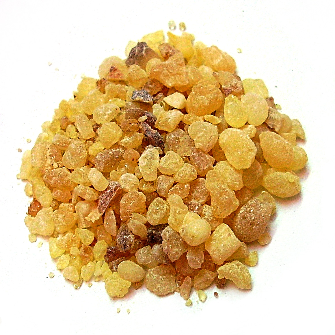 Why Was Frankincense Given As A Gift To Jesus Plant Medicine News