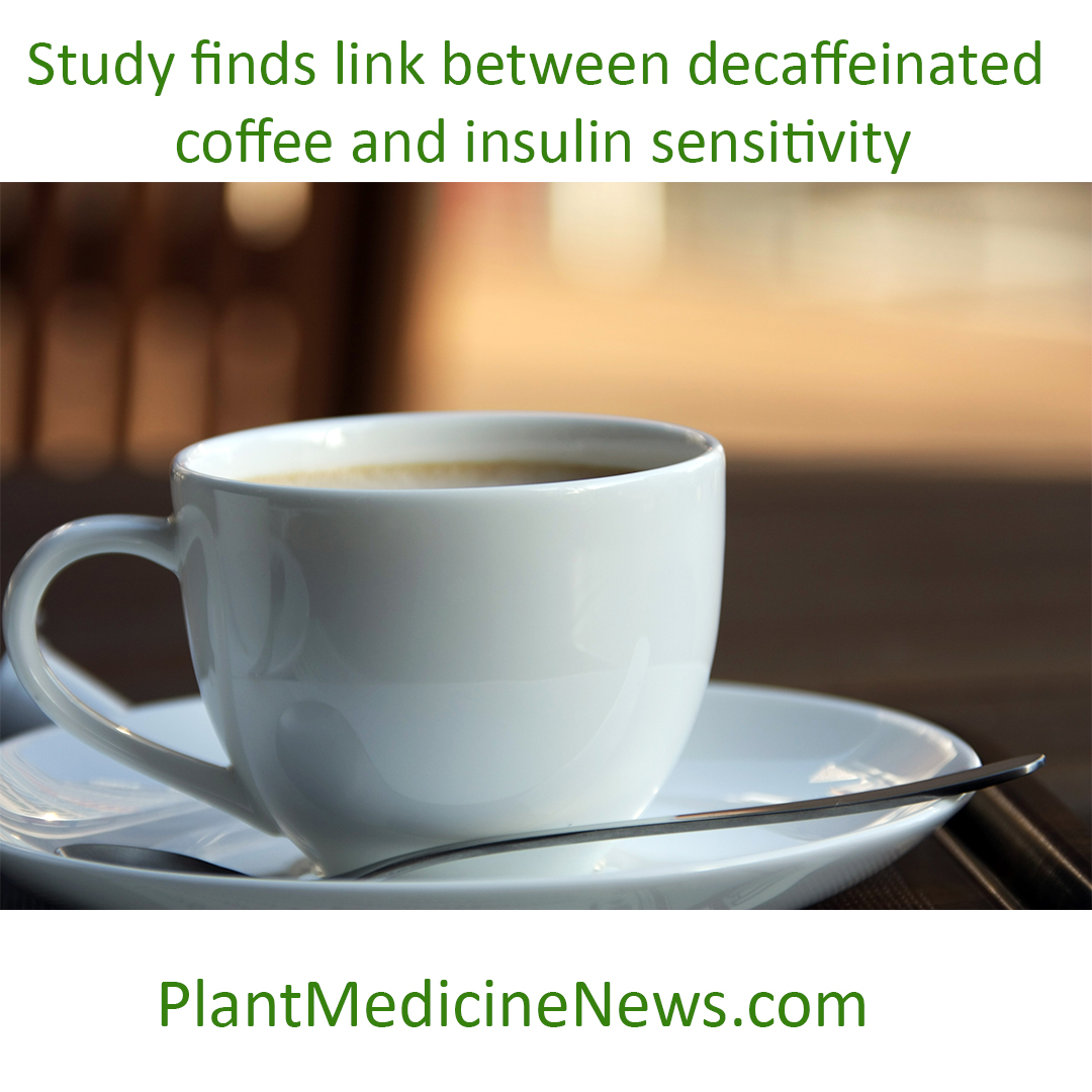 Decaf Coffee And Insulin Resistance