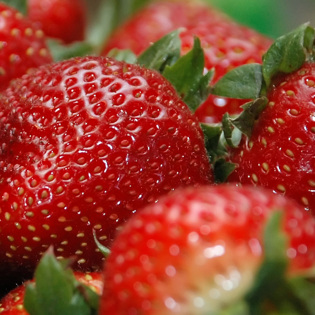 Clinical Trial: Strawberry Powder Tested For Improving Cholesterol In ...